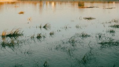 181 dried up, 126 encroached upon: Delhi's water bodies are under growing threat