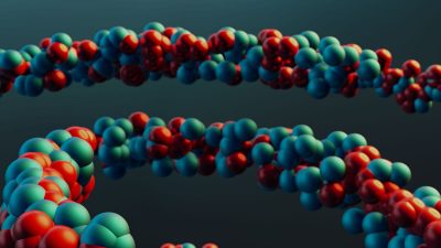 Epigenetic clocks measure different aspects of ageing: Study