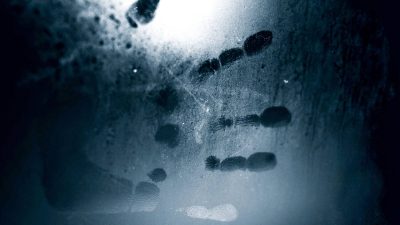 Delhi gang rape: Fingerprints of accused and minor victim found on vehicle