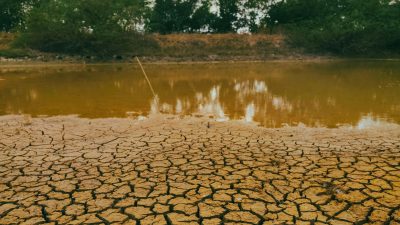 El Niño to persist through February 2027: How could India be affected?