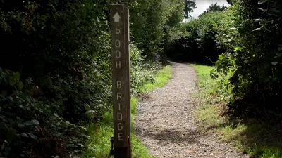 Walking through Winnie-the-Pooh’s Hundred Acre Wood, 100 years on