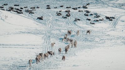 India calls for Arctic research cooperation as EU, US step up focus on Greenland