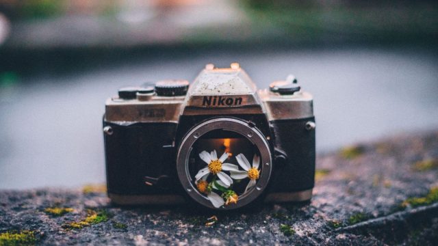 World Photography Day: A look back at five iconic cameras