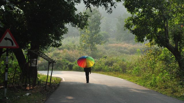 Keralam hit by unusual heat as electricity demand reaches summer levels