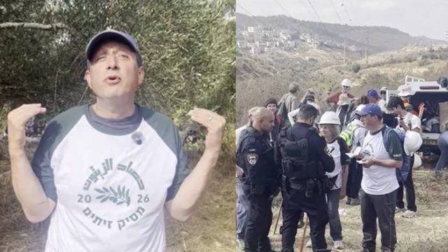 US congressional candidate detained by Israeli forces during West Bank olive harvest